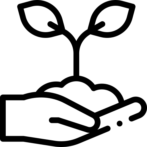 Percorsi di crescita